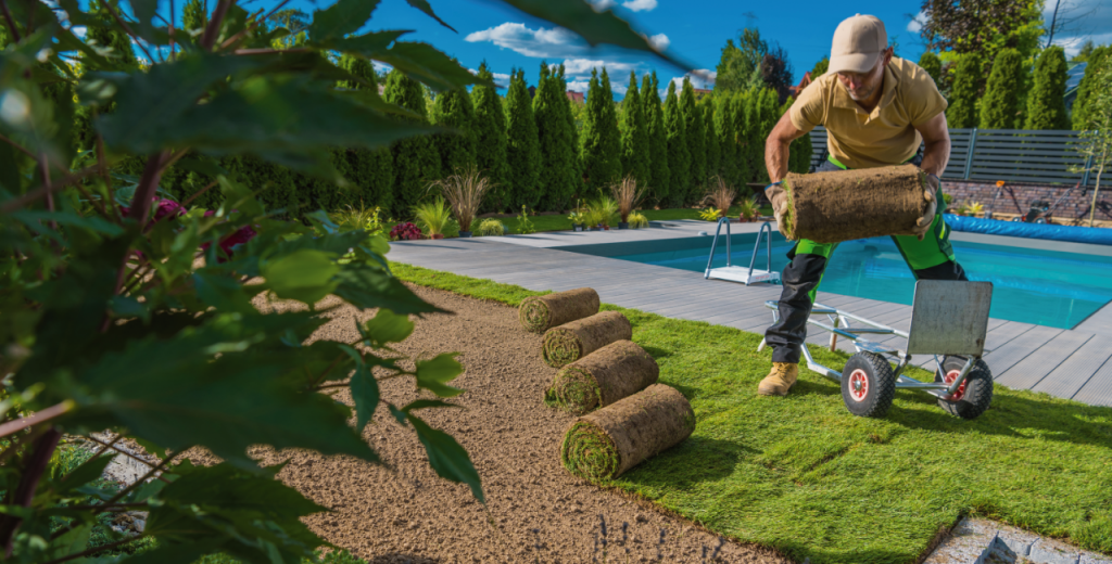 Our services - horticulture