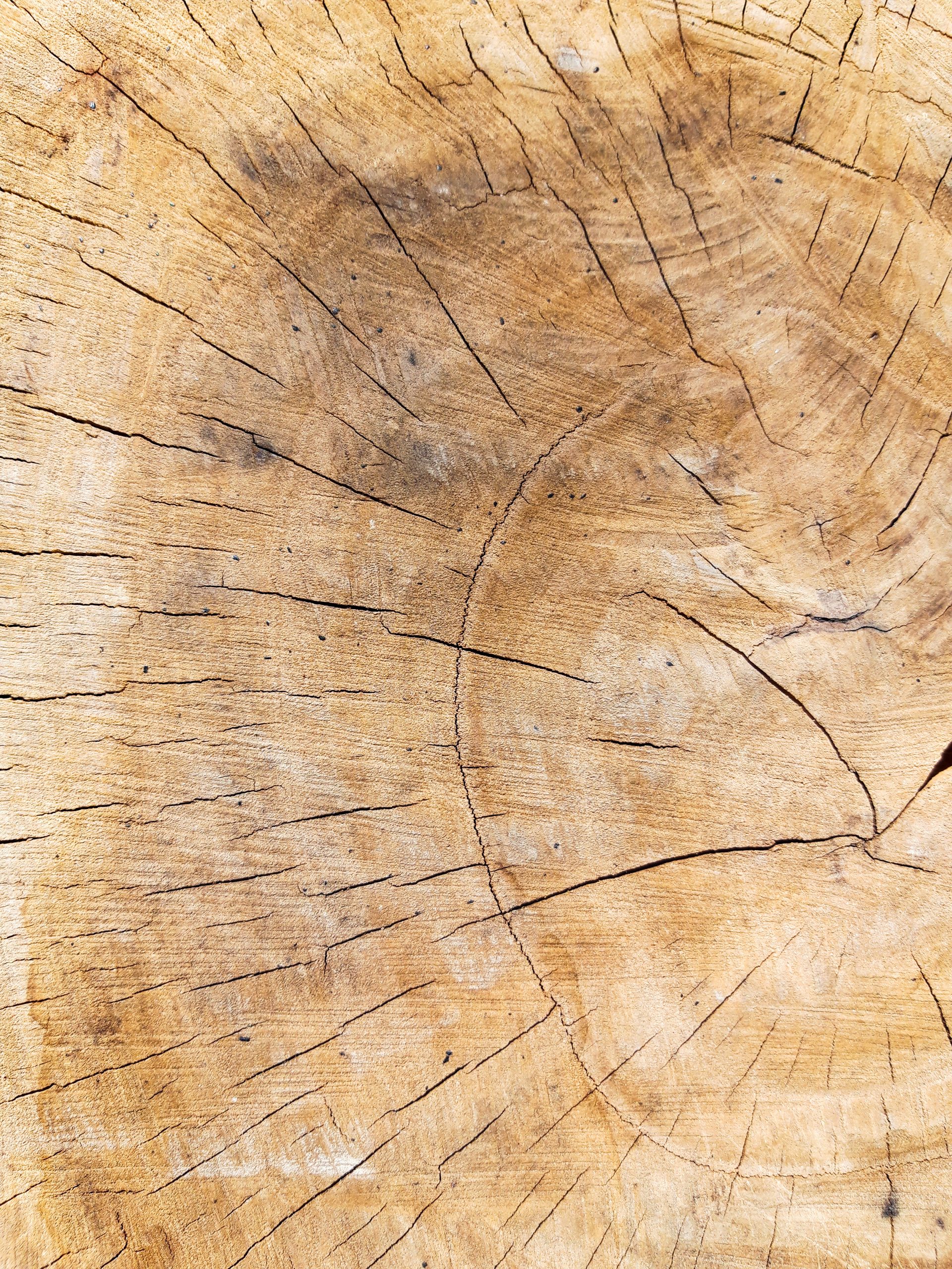 Startseite - Titel2 - Unsere Umwelt